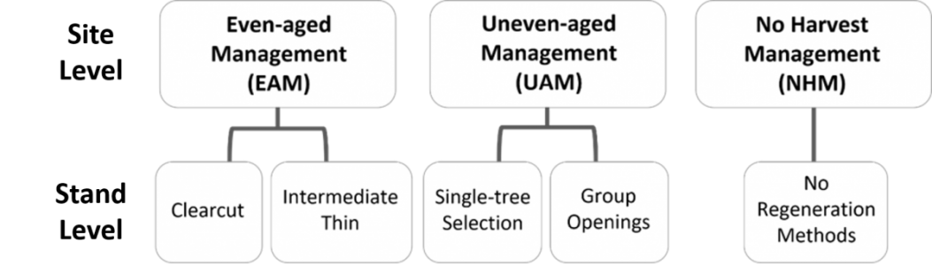 The three forest management systems and the specific harvest methods used within each system
