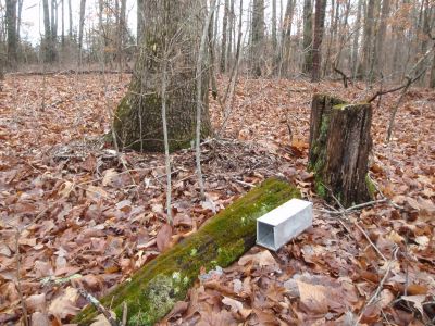 small mammal trap placed along log.
