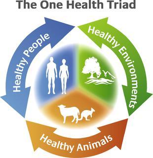 One Health Logo