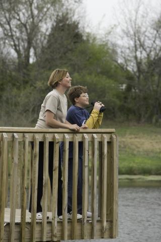 A woman and a boy with binoculars look over a railing near a body of water.