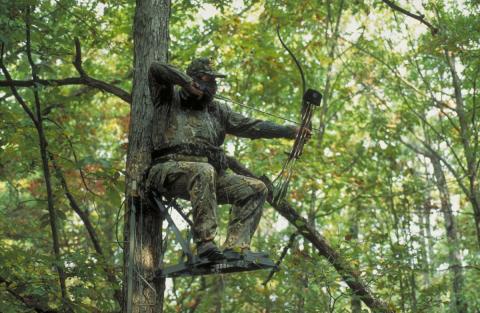 An archer in a tree stand pulls back on his bow