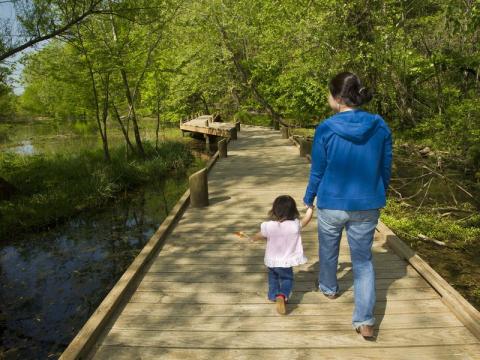 A woman with a small child cross a wooden walkway over a pond at the Springfield Nature Center