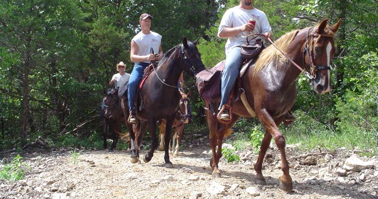 Horses on an MDC trail