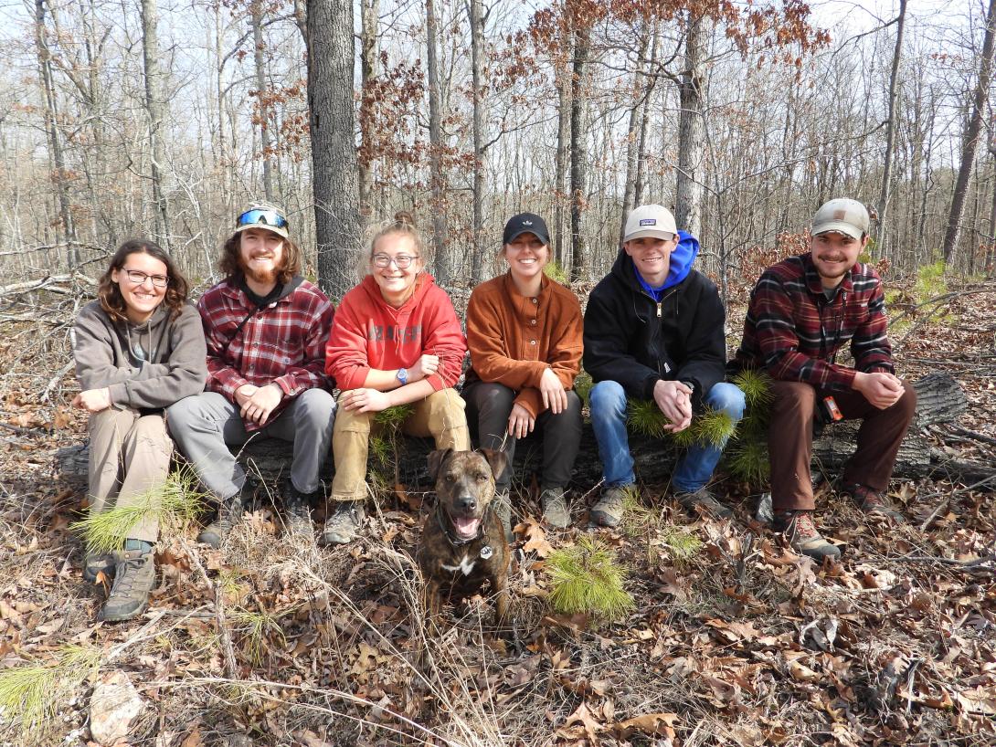 The woody vegetation crew sits on a log in the woods.