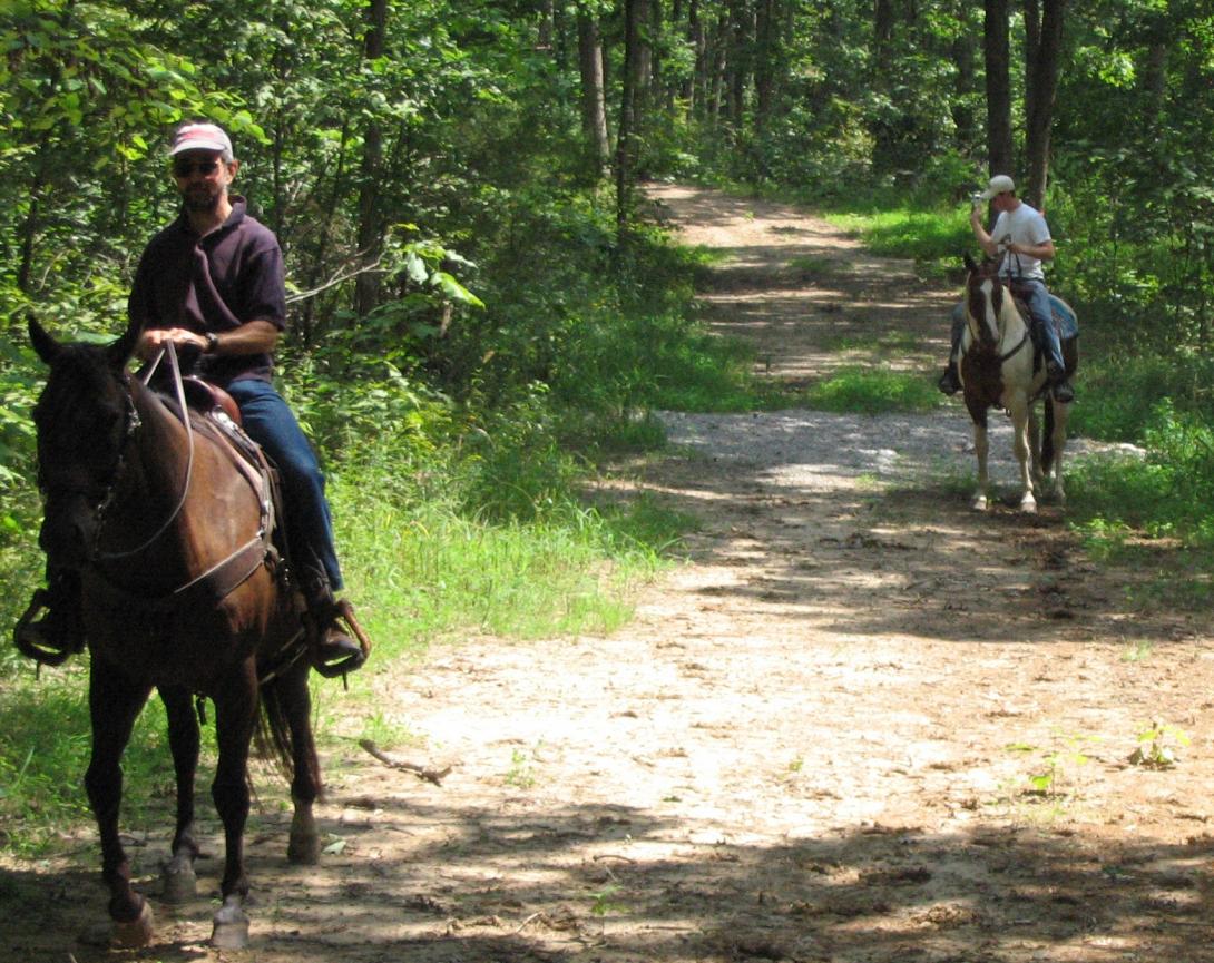 Two people ride horses on a shady trail.